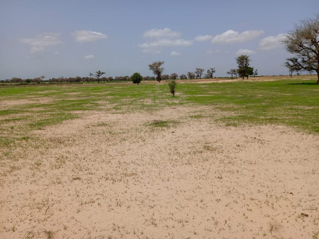 Terrain Agricole de 1,69 Hectare vers Tassette – Thiès