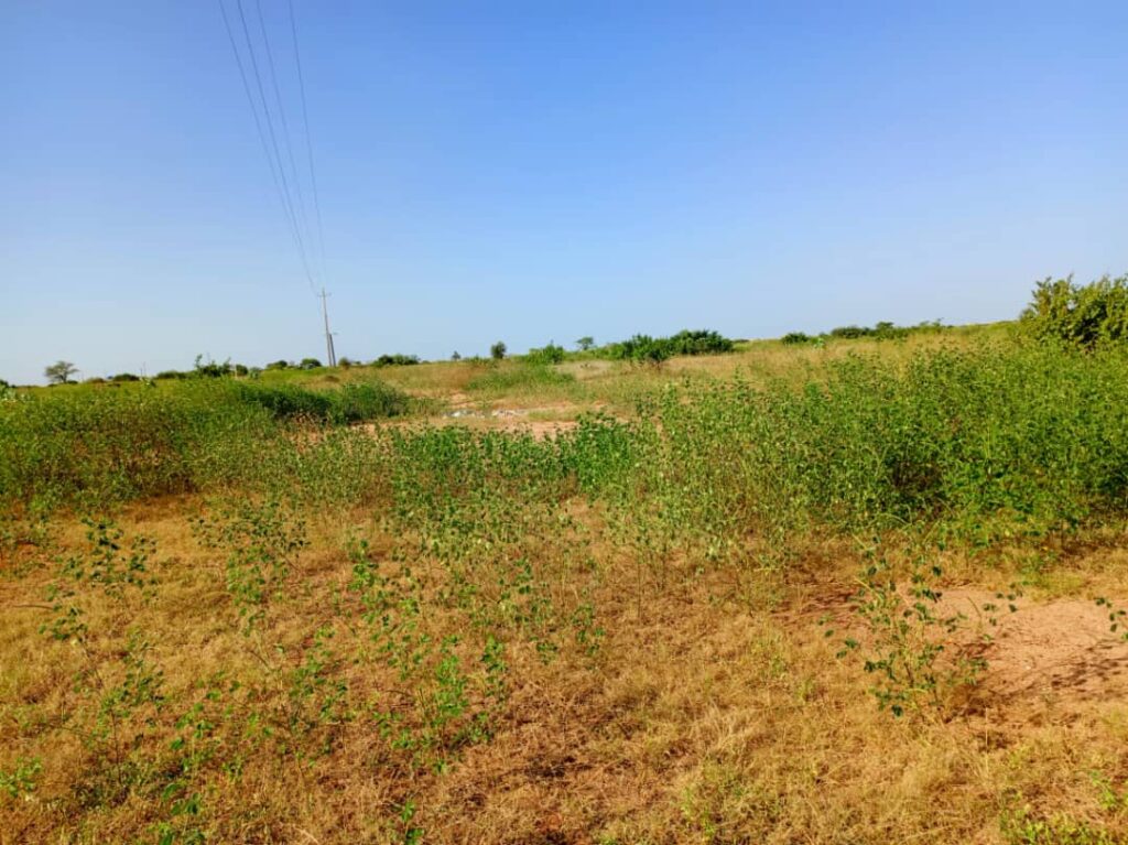 Terrain Industriel de 8.779 m² en bordure de route vers Tassette