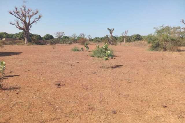 Lot de 5 Terrains à usage d&rsquo;habitation, vers Pout – Thiés