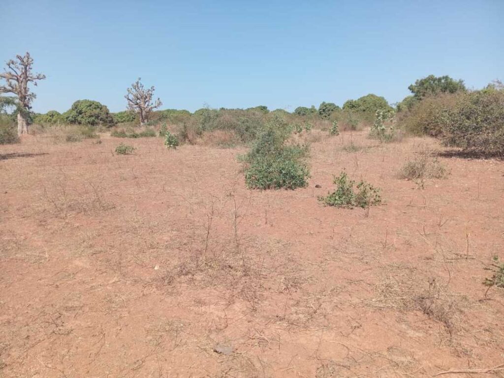 Lot de 5 Terrains à usage d&rsquo;habitation, vers Pout – Thiés