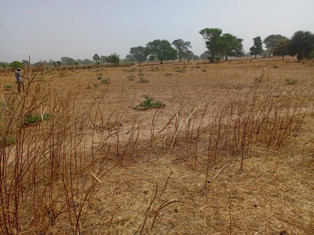 Terrain industriel de 6178 m² vers Notto Diobass – Thiès