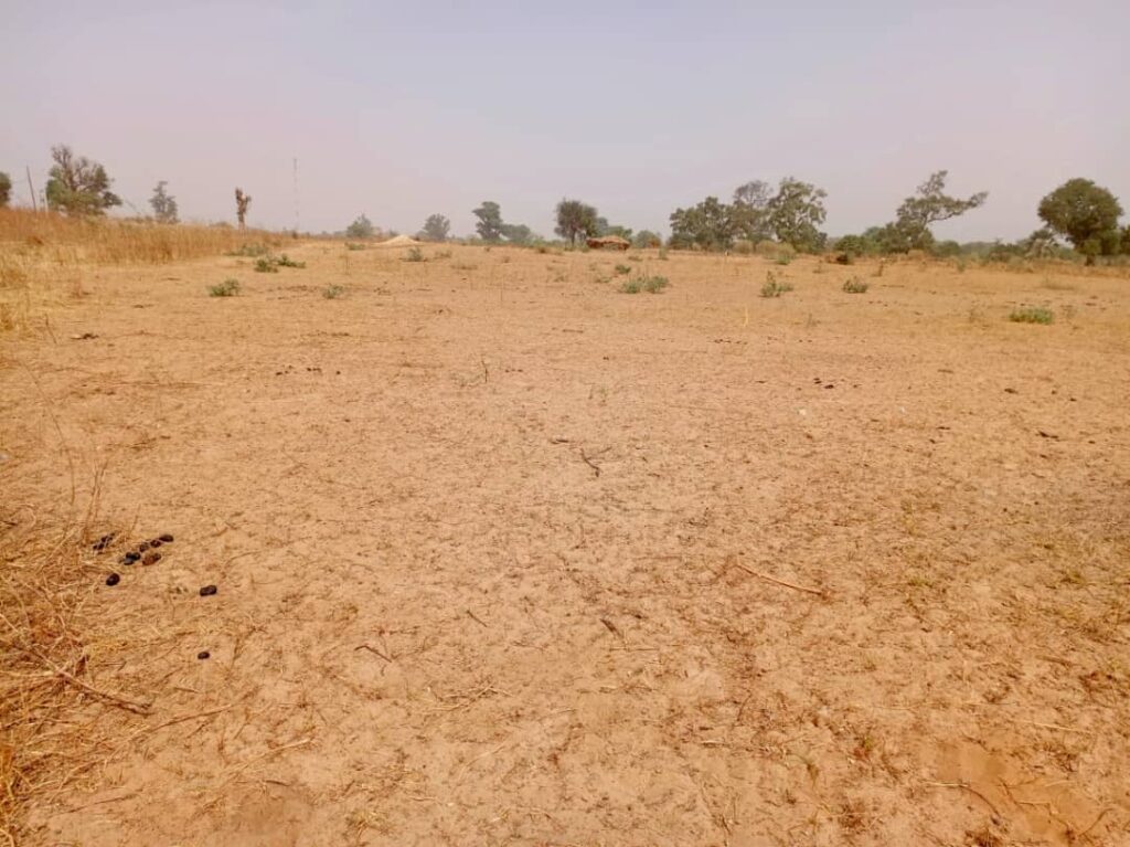 Terrain industriel de 6178 m² vers Notto Diobass – Thiès