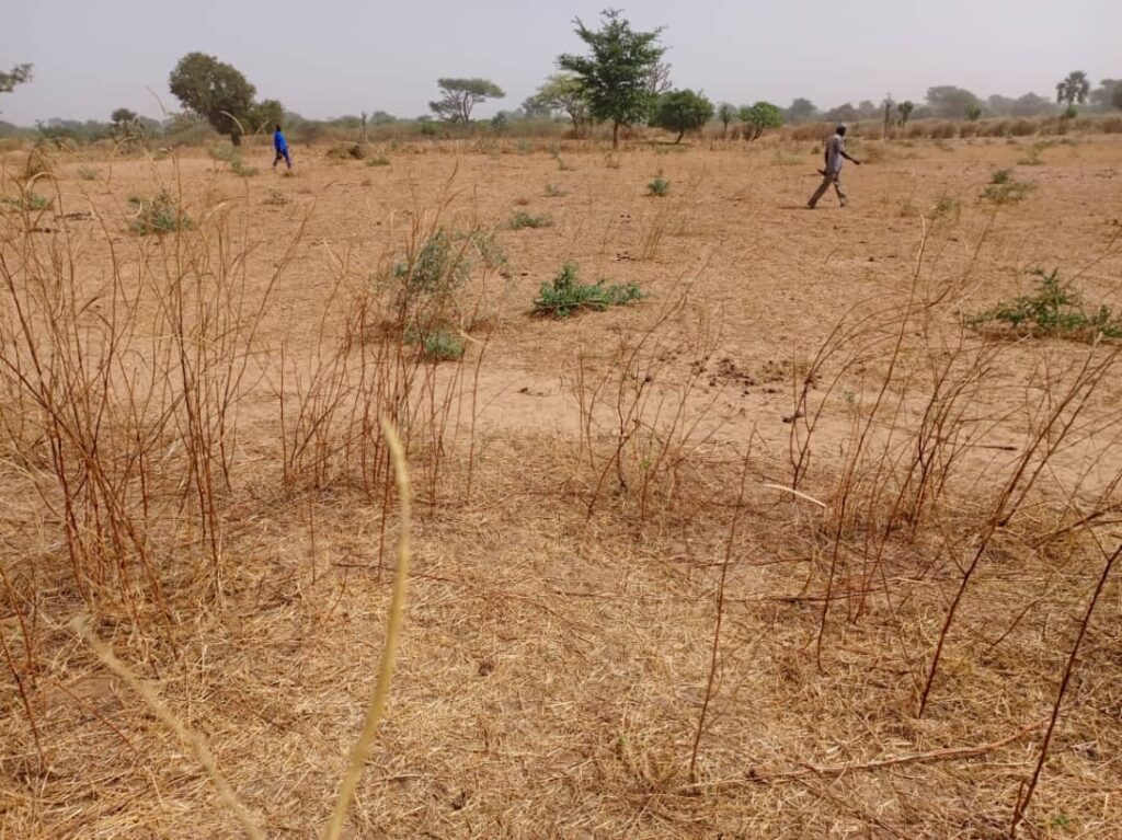 Terrain industriel de 6178 m² vers Notto Diobass – Thiès