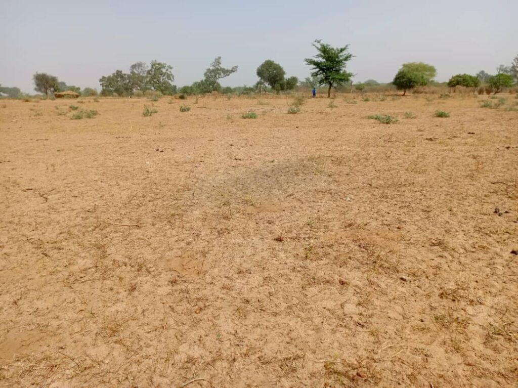 Terrain industriel de 6178 m² vers Notto Diobass – Thiès