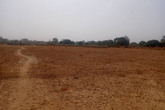 Terrain Agricole de 1,40 Hectare vers Notto Diobass – Thiès