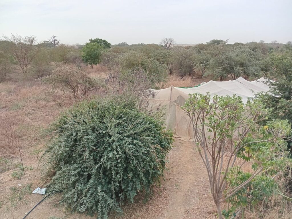 Terrain industriel de 1,8 hectare vers Sindia-Mbour