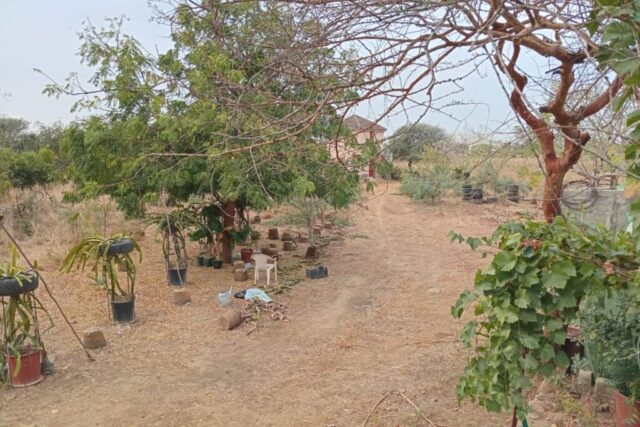 Terrain industriel de 1,8 hectare vers Sindia-Mbour