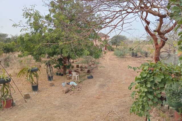 Terrain de 1,80 Hectare pour Projet de Morcellement de Parcelles à usage d’Habitation vers Sindia – Mbour