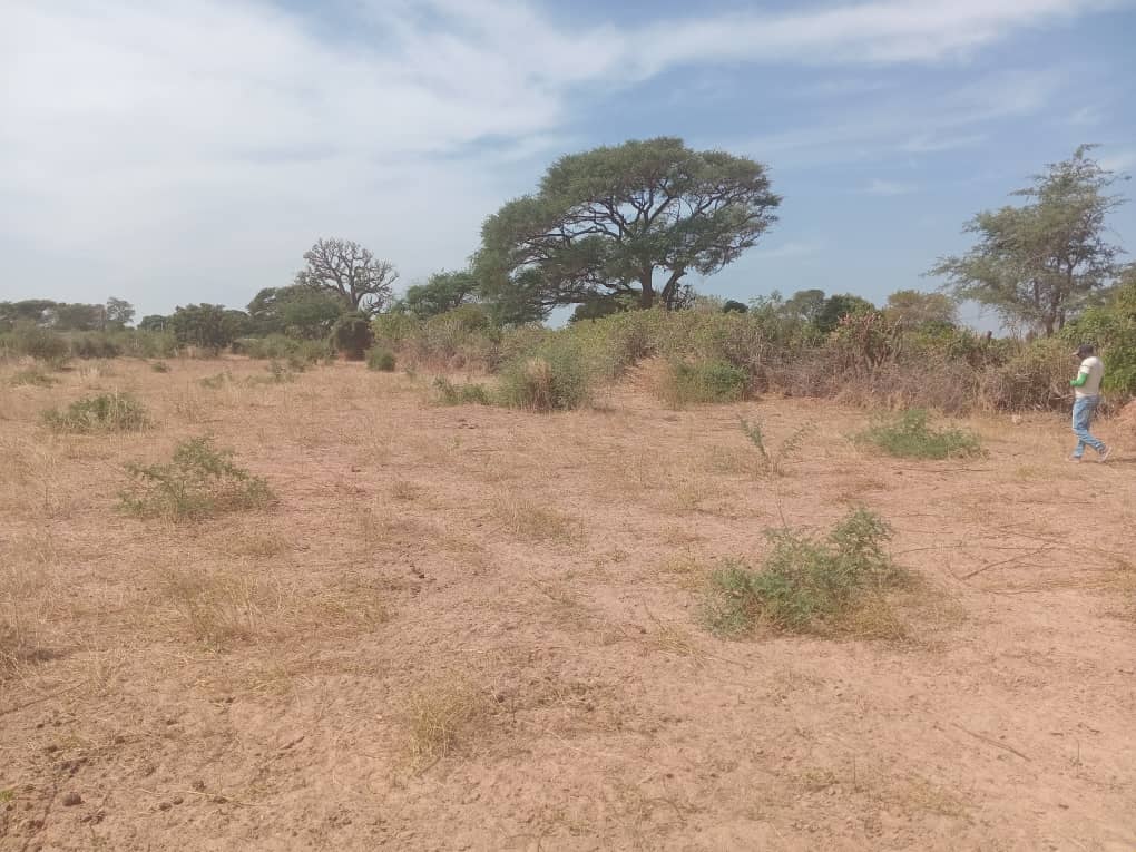 Lot de 25 Terrains à usage d’habitation, vers Sindia – Mbour