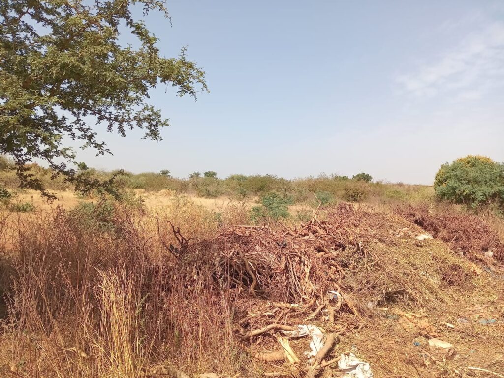 Terrain Industriel de 1 Hectare vers Sindia – Mbour