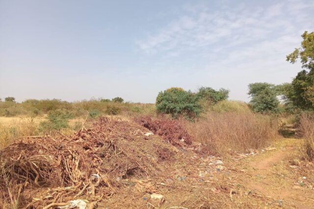 Terrain Industriel de 1 Hectare vers Sindia – Mbour