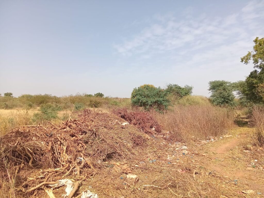 Un Hectare à morceler en parcelles d’habitat vers Sindia – Mbour.