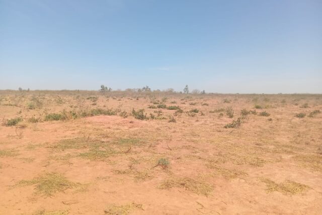 Terrain Industriel de 4 Hectares vers Sindia – Mbour