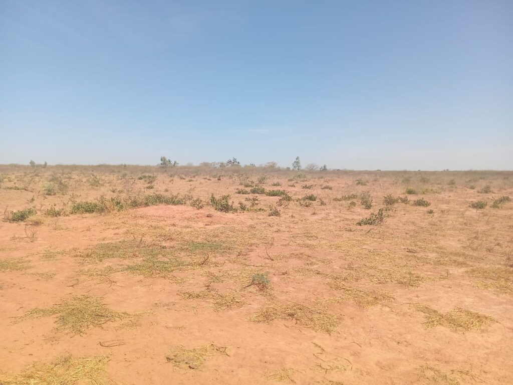 Terrain Industriel de 4 Hectares vers Sindia – Mbour