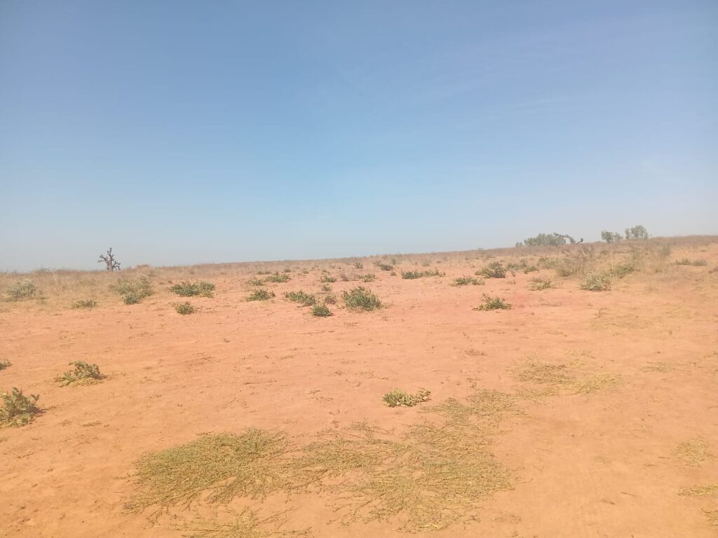 Terrain Industriel de 4 Hectares vers Sindia – Mbour