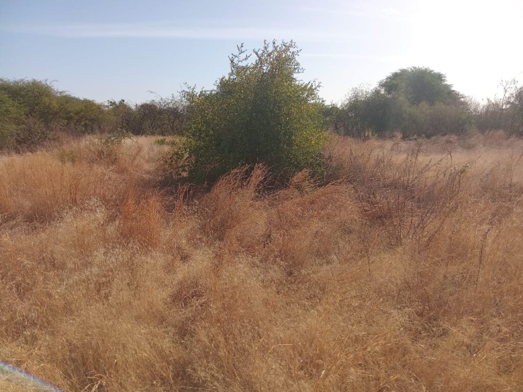 5.000 m² de Terre Industriel vers Sindia – Mbour