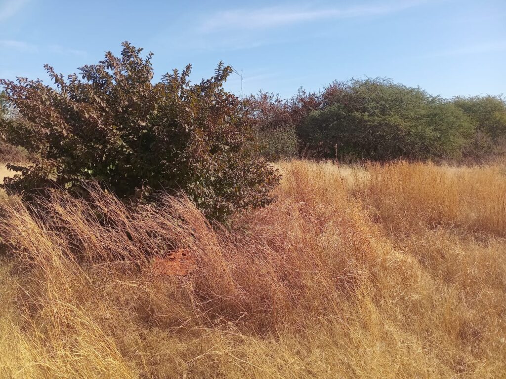 5.000 m² de Terre Industriel vers Sindia – Mbour