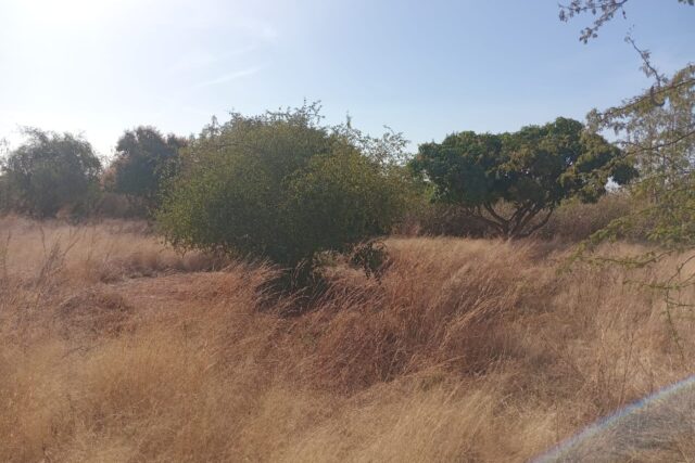 5.000 m² de Terre Industriel vers Sindia – Mbour