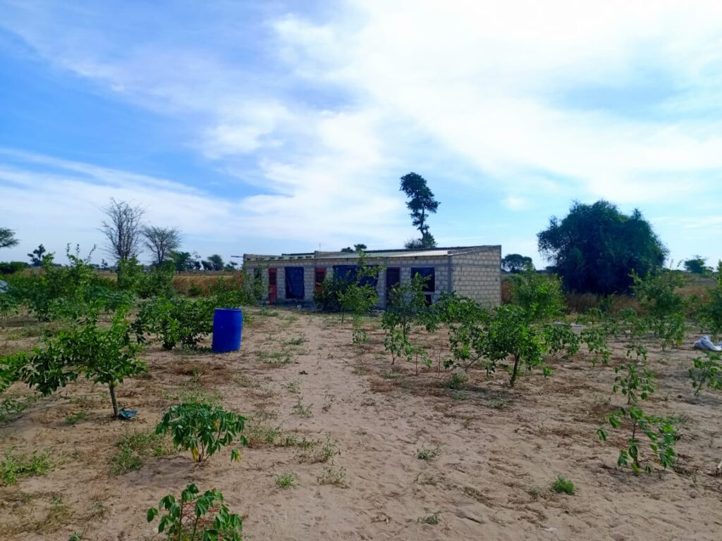 Verger de 3,55 hectares vers Tassette – Thiès