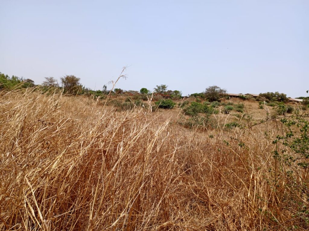 Location terrain agricole de 7.000 m² vers Notto Diobass-Thiès