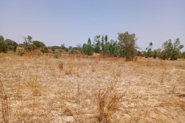 Location terrain agricole de 7.000 m² vers Notto Diobass-Thiès