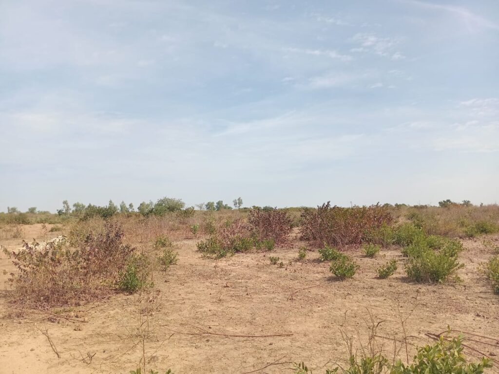 Location terrain industriel de 3 hectares vers Notto Diobass-Thiès