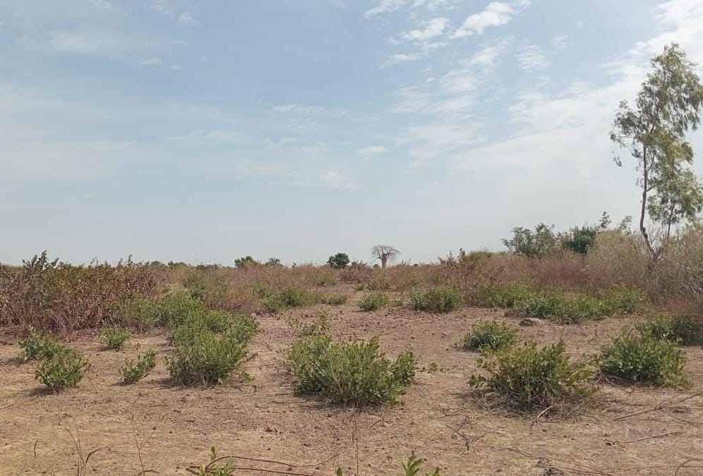 Location terrain industriel de 3 hectares vers Notto Diobass-Thiès