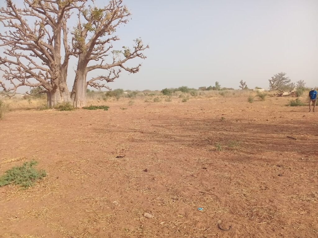 Terrain industriel de 3,50 hectares vers Sindia – Mbour