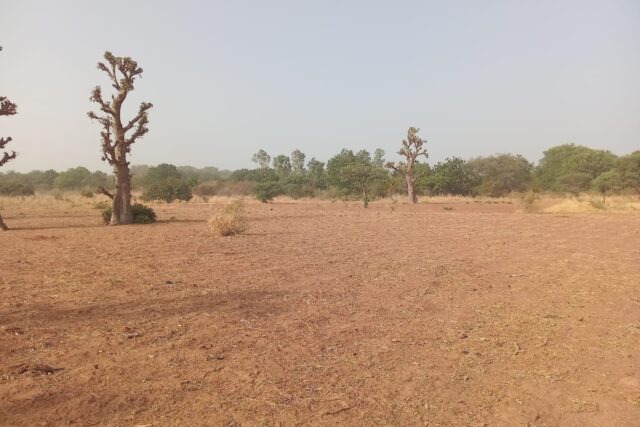 Terrain industriel de 3,50 hectares vers Sindia – Mbour
