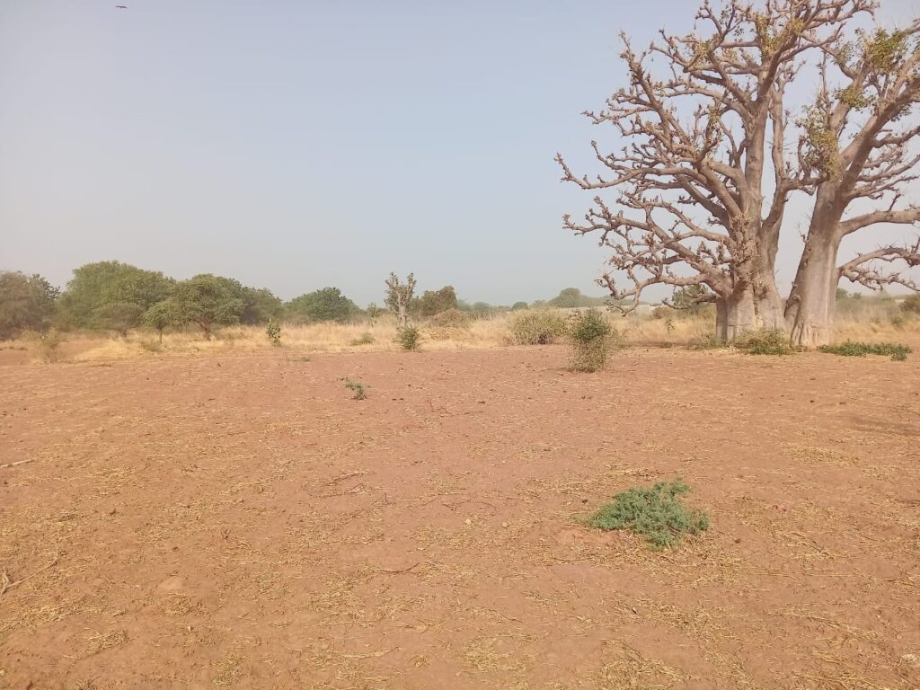 Terrain industriel de 3,50 hectares vers Sindia – Mbour