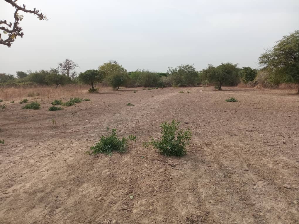 Terrain industriel de 6100 m² vers Sindia-Mbour