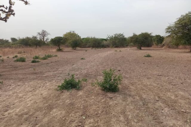 Terrain industriel de 6100 m² vers Sindia-Mbour