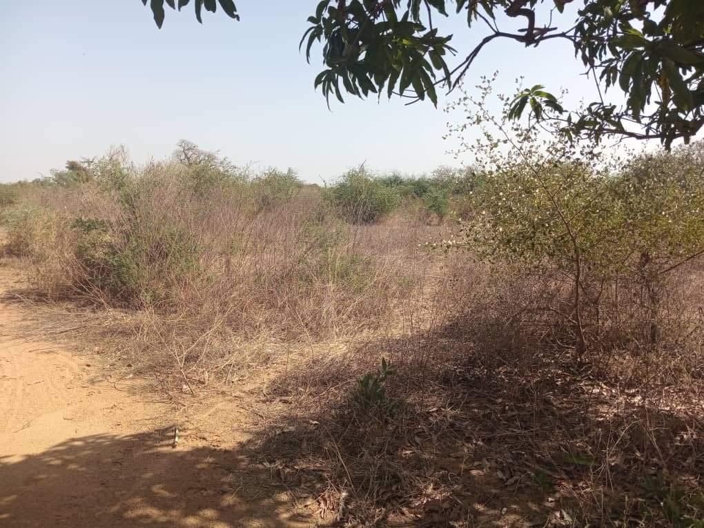 Terrain industriel de 6200 m² vers Pout-Thiès