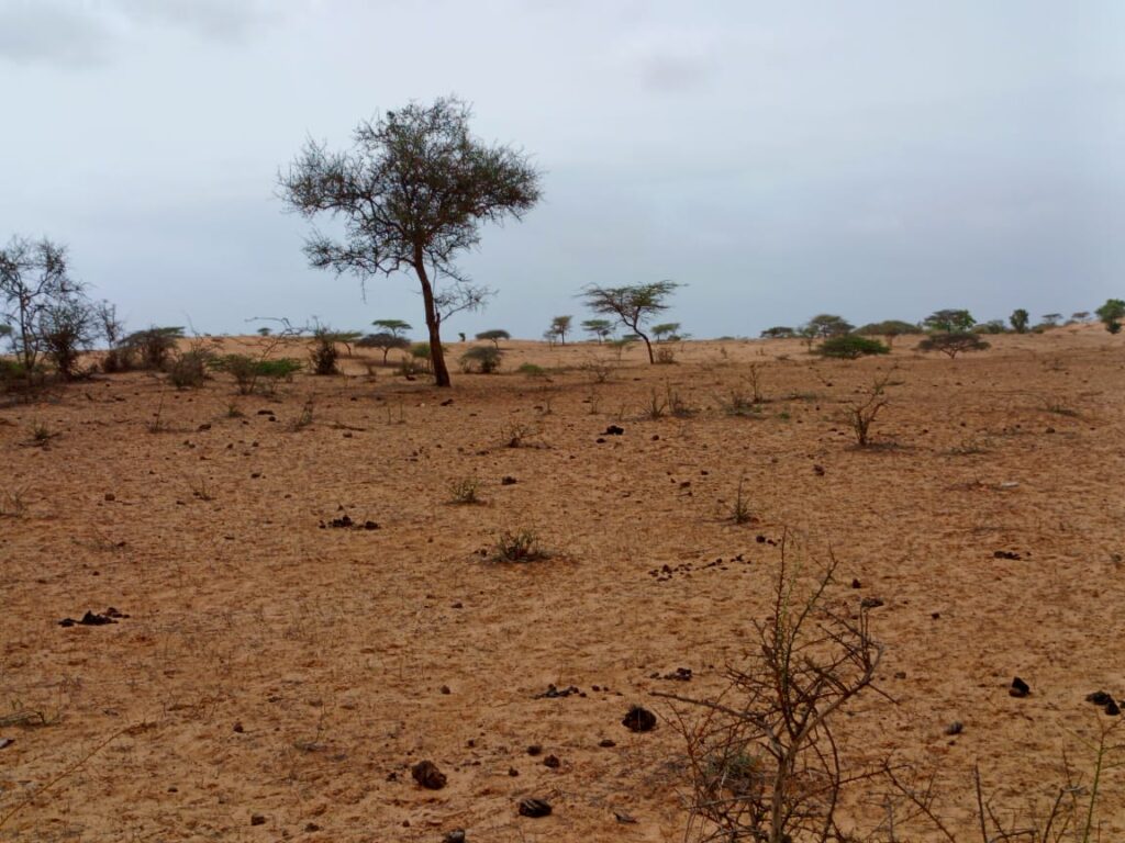Terrain Agricole de 10 Hectares vers Thiéppe – Kébémer
