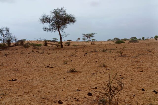 Terrain Agricole de 10 Hectares vers Thiéppe – Kébémer