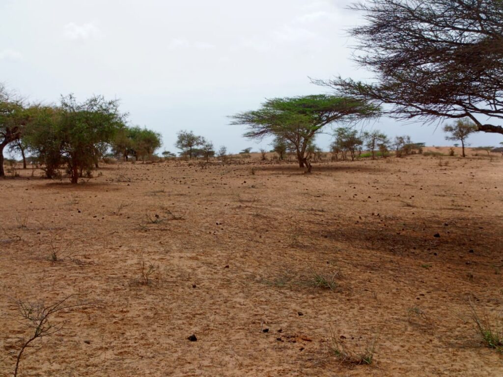 Terrain Agricole de 10 Hectares vers Thiéppe – Kébémer