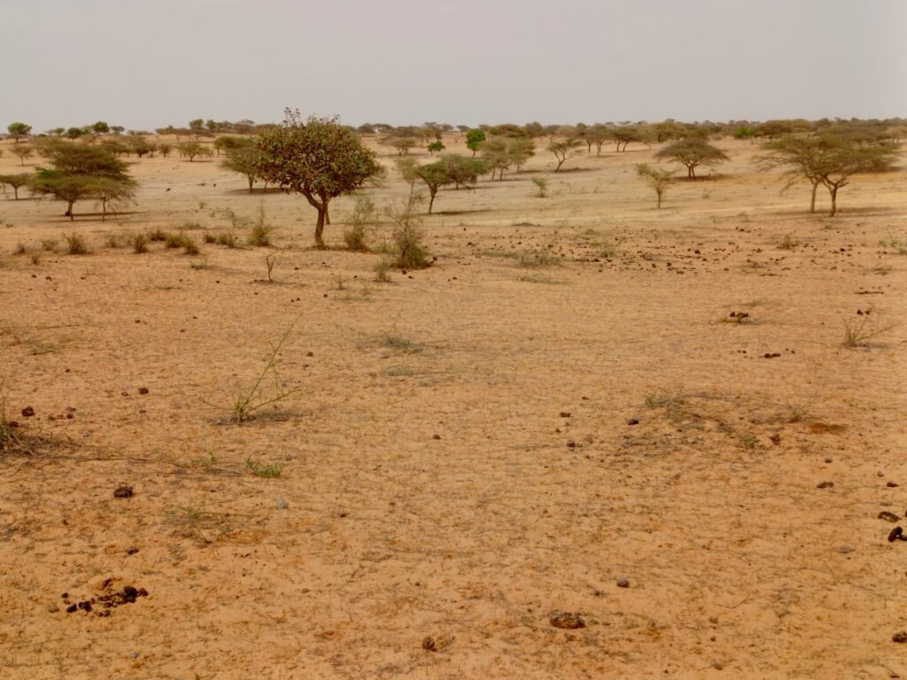 Terrain Agricole de 10 Hectares vers Thiéppe – Kébémer
