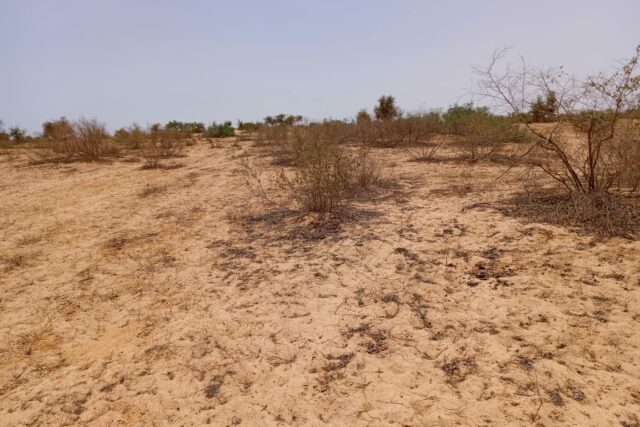 Terrain de 1 Hectare pour Projet de Morcellement de Parcelles à usage d’Habitation vers Notto Diobass – Thiès