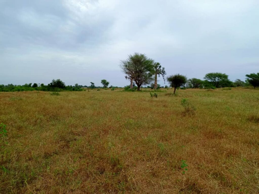 Terrain Agricole de 1,60 Hectare vers Tassette – Thiès