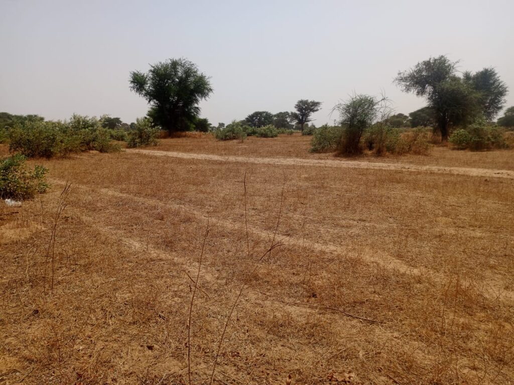 Terrain Agricole de 2,07 Hectares vers Tassette – Thiès