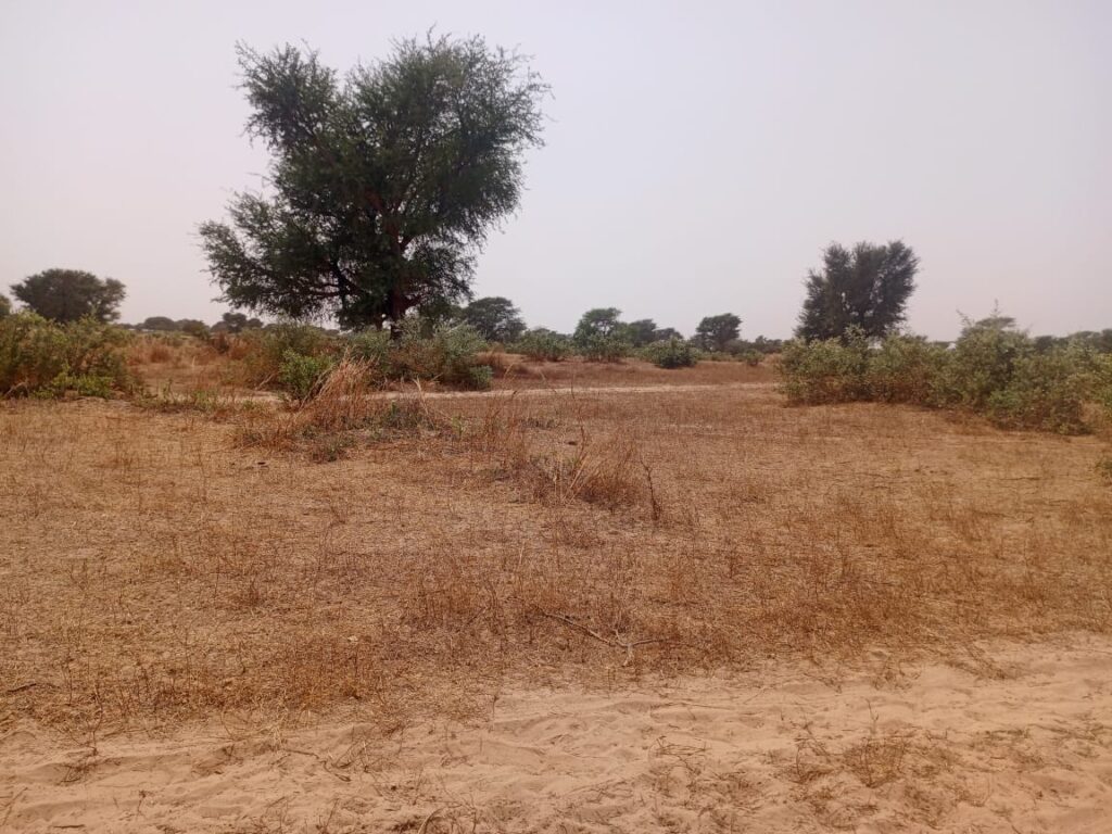 Terrain Agricole de 2,07 Hectares vers Tassette – Thiès