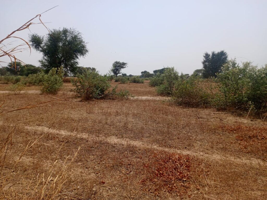 Terrain Agricole de 2,07 Hectares vers Tassette – Thiès