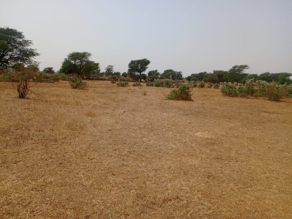 Terrain Agricole de 2,07 Hectares vers Tassette – Thiès