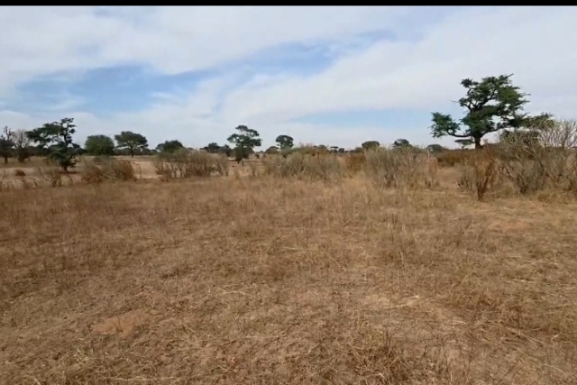Terrain Agricole de 1,09 Hectare vers Tassette – Thiès