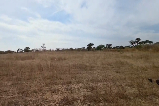 Terrain Agricole de 1,09 Hectare vers Tassette – Thiès