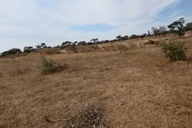 Terrain Agricole de 8.000 m² vers Tassette – Thiès