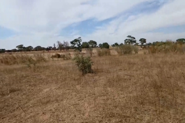 Terrain Agricole de 8.000 m² vers Tassette – Thiès