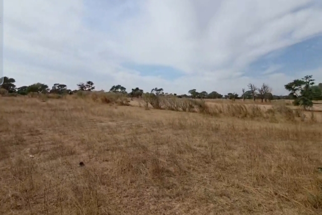 Terrain Agricole de 1,09 Hectare vers Tassette – Thiès