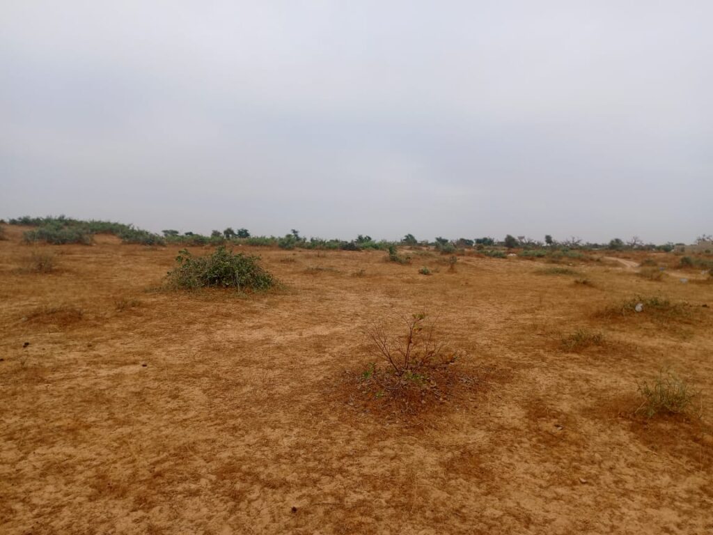 Terrain Agricole de 2,32 Hectares vers Kébémer
