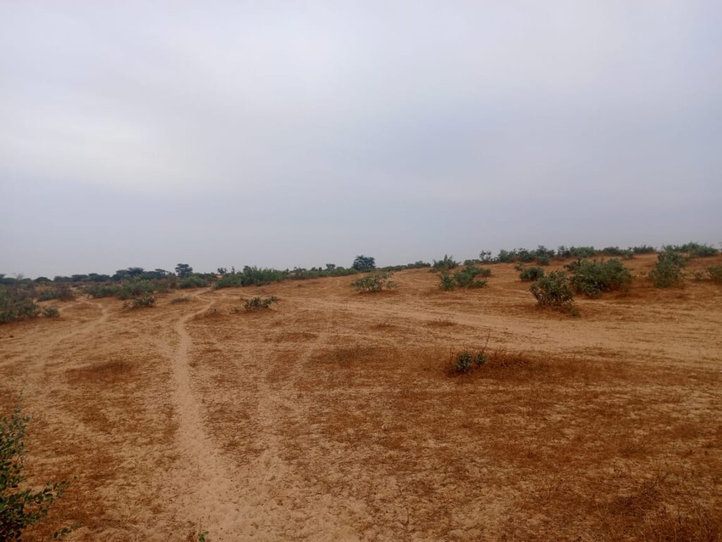 Terrain de 2,32 hectares prêt pour projet de morcellement à vers Kébémer